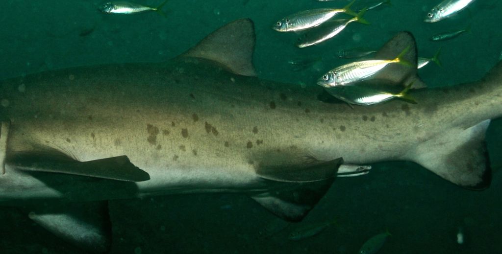 6a3effed-f081-4c57-a254-3ff68fa62a6c