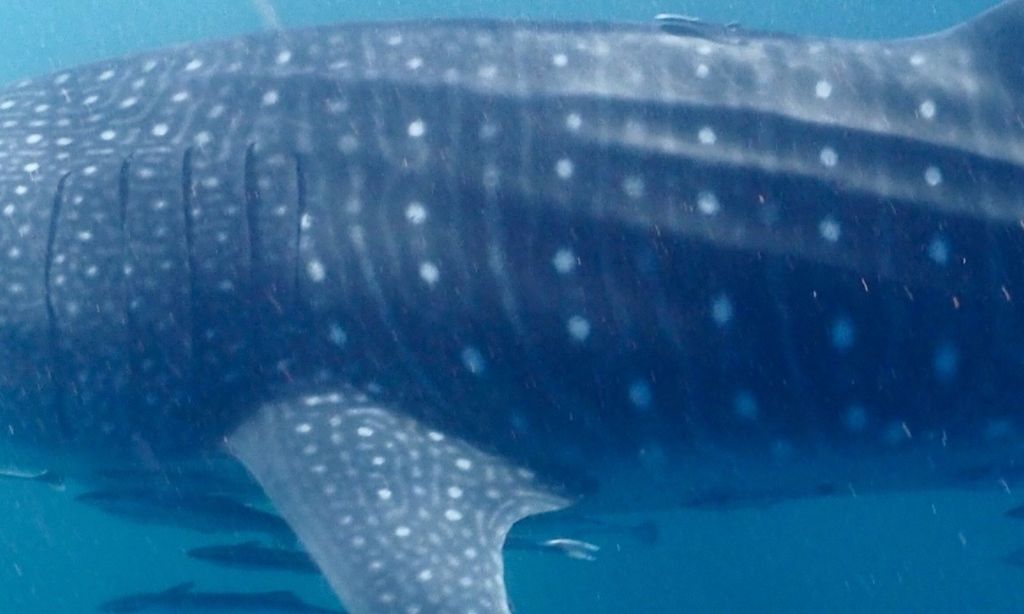 e8b07b92-999b-41ac-a8c1-aa4b865ade29