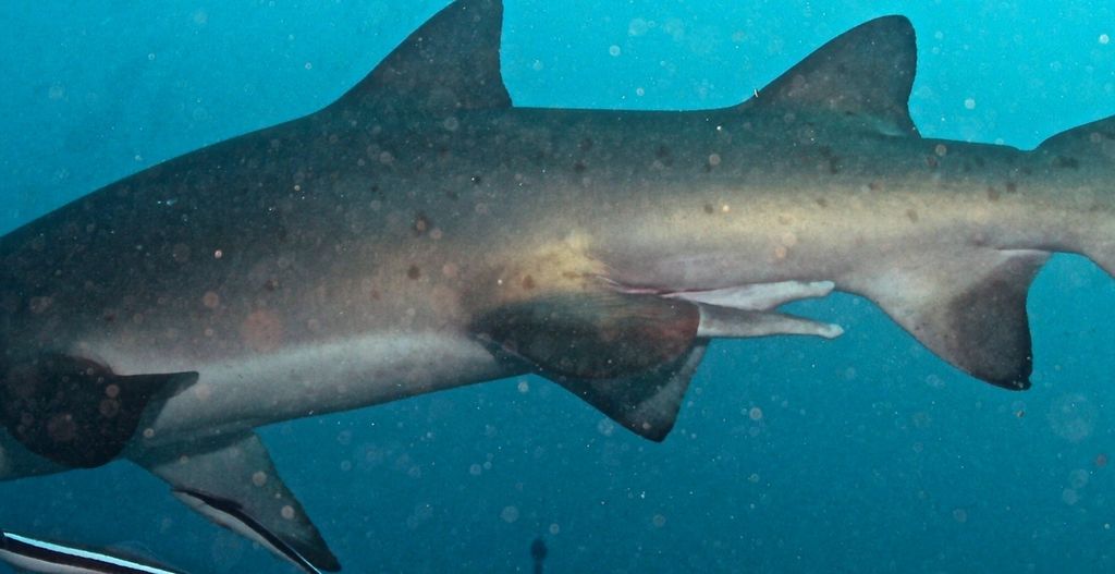 23b16c47-3e12-4c77-bd91-ddff4911bb22