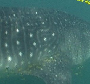 0ec20442-a86d-4c1d-bc6a-1919b479df15