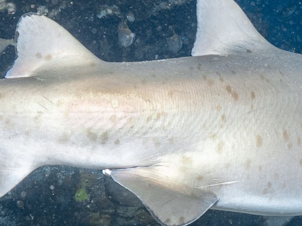 0a22e1de-e07b-4a18-8fb1-326cf1d3a85d