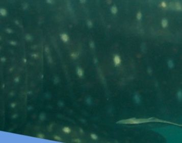 4a4db2e0-41b7-4268-b408-e765cdb831a8