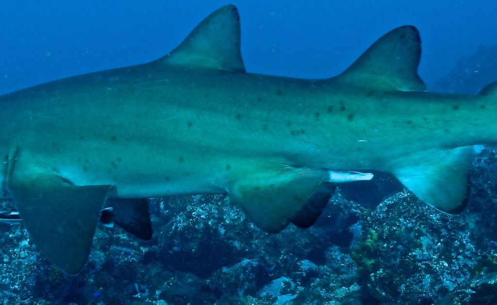 21cfe420-8fd2-4987-bdf5-a261bcf9e201