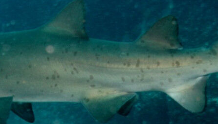 e0a76194-0112-42f9-a9ee-bd2835a0232e