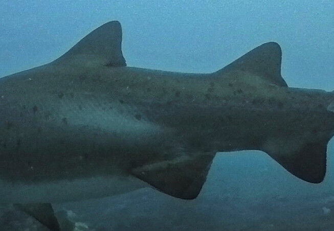 7f4221a9-24ae-4e31-8edd-7fef6e49efb6