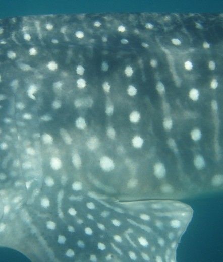 d6c6f5b2-29f7-4f86-ad13-5b85fad5c5c9