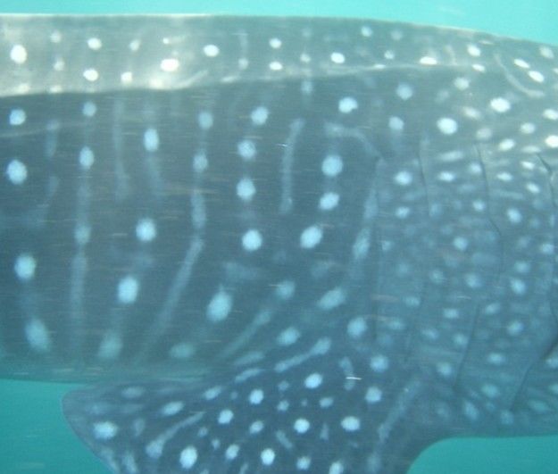 d6c6f5b2-29f7-4f86-ad13-5b85fad5c5c9