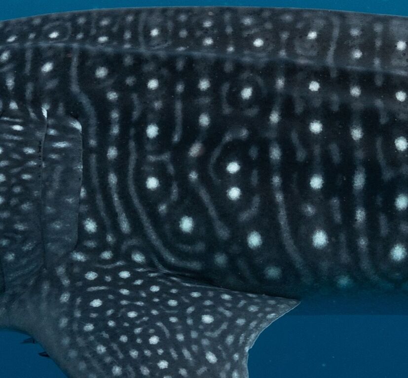 5f551a0b-ed54-4e85-86a8-fe70dd82bddf