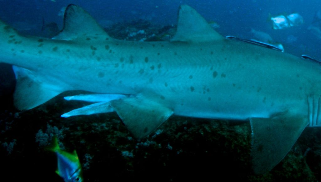 f474c920-4298-4019-94e5-6de848ec29d6