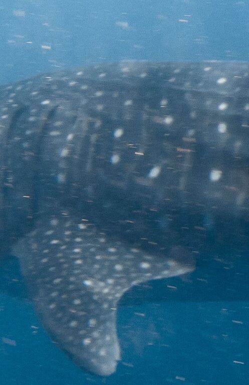 6b2542ae-622c-41bc-90d9-3796457e2f79