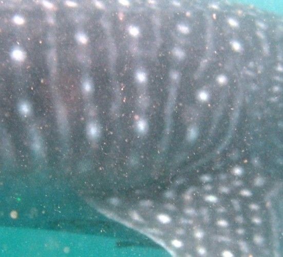 c912aa2a-7a6b-4a5a-8100-c7de53c5ead2