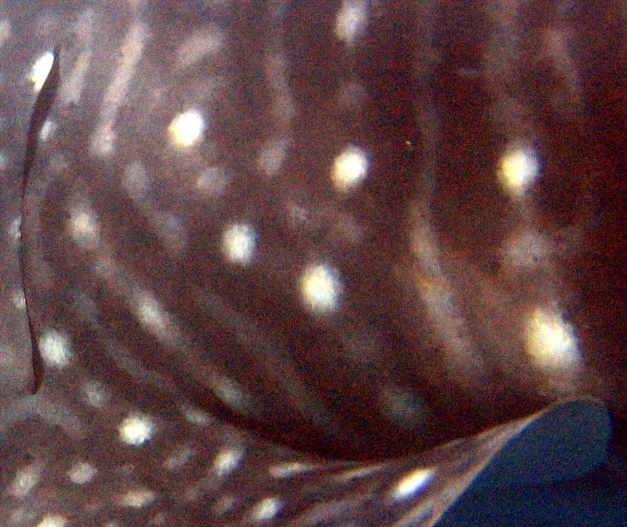 91057850-0ec8-4cf8-83f6-431d3be3a631