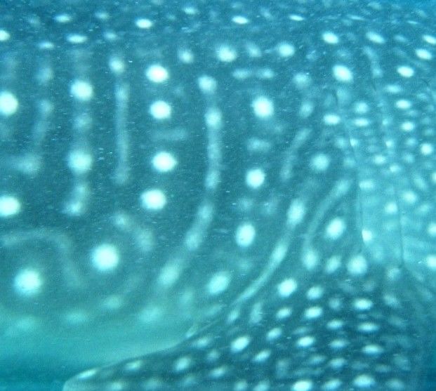 78fd82ac-9323-475e-bd8c-2ff3b8357dcc