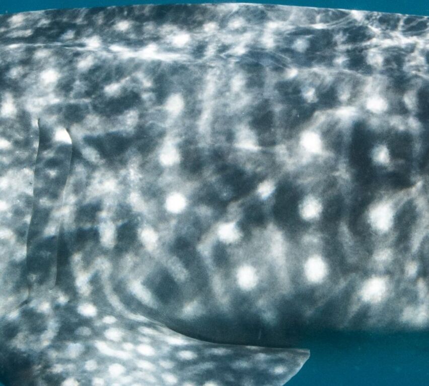 24adb028-bd17-4c48-99e0-aa82888af69b