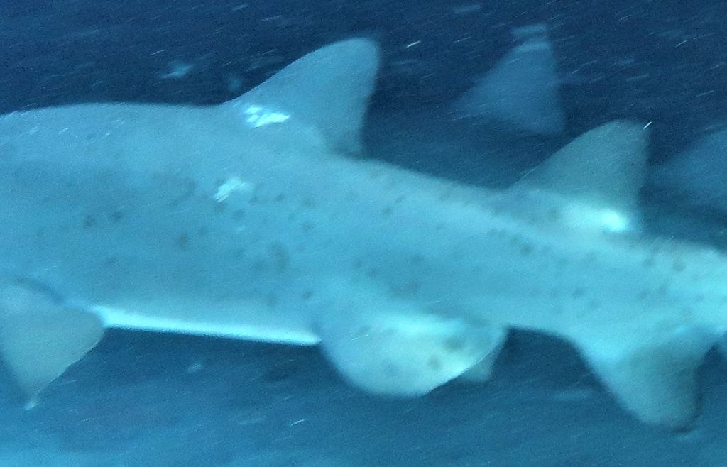 147cd9d3-97ce-4c21-9b7c-809c36fcc10a