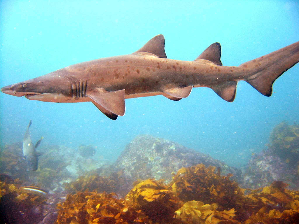 1c488835-3dc5-43d4-b749-d8d96e7d1f75