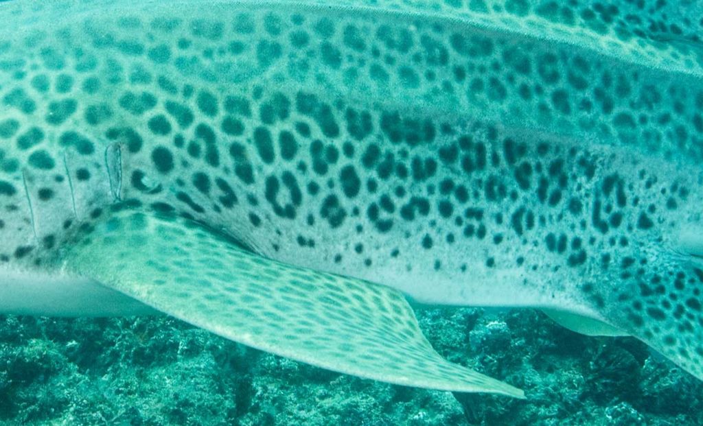 069b2789-a8e8-42c1-b03d-fe9c958cfcd5