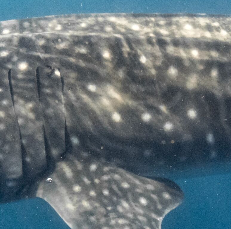 70aff883-043a-4cd5-b169-663aef74ba69