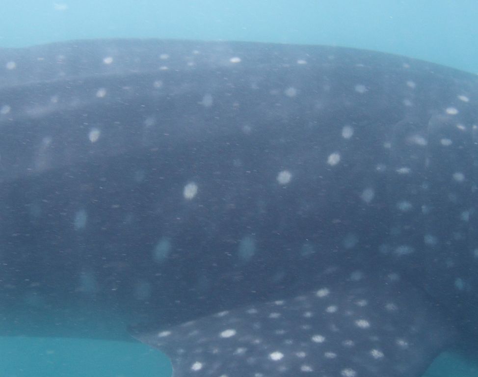 8fed8f03-d187-4697-8b1b-52765f63da9e