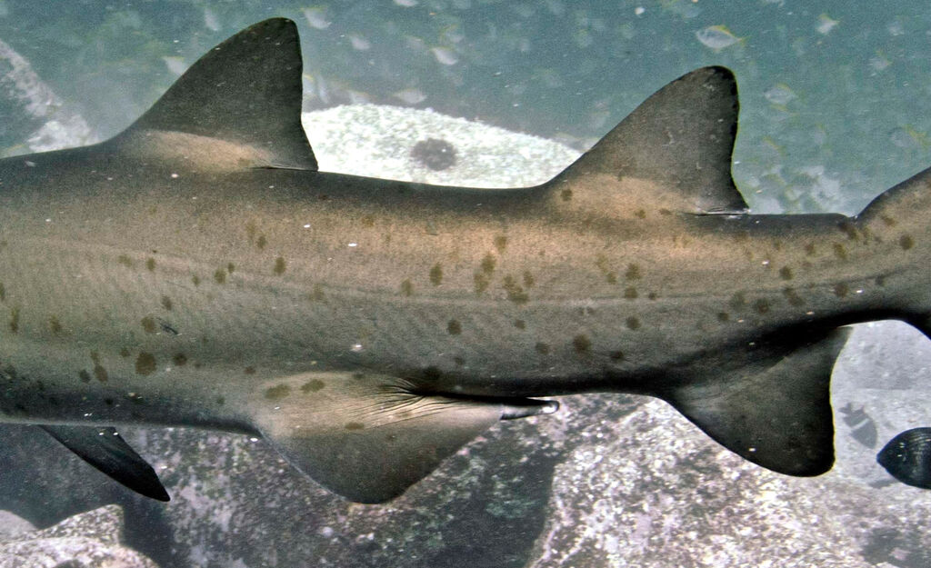 6f79fb43-995f-45ce-ba1a-dd2235b5bebc