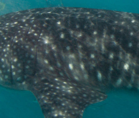 0aad58bf-edc3-42ce-800a-8dc92eb12242