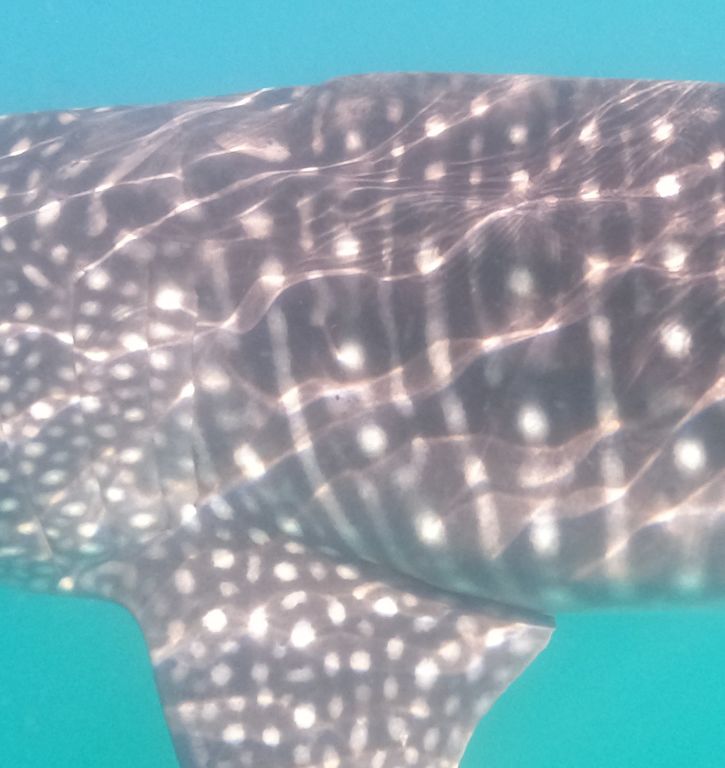 c18c6a27-3f27-41be-8358-3ffc127fcdca