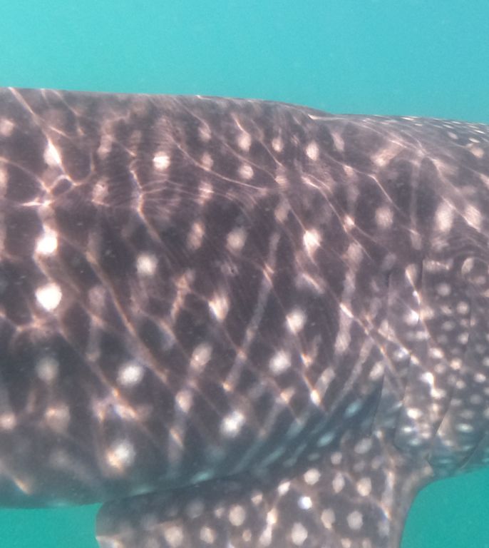 c18c6a27-3f27-41be-8358-3ffc127fcdca