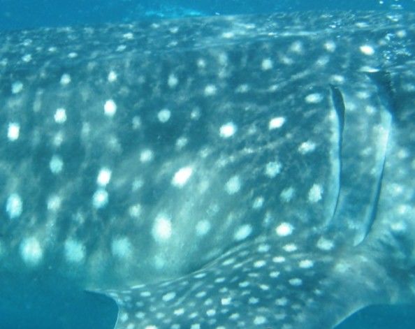 b96cec61-4149-4122-95e3-935b6ab99f28