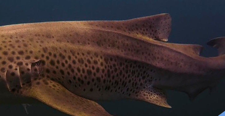 0fb20742-d56d-4855-bff9-fdc26ab4a53c