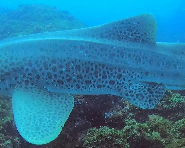 8bcf6a6c-1650-4c9b-81cb-0748c36b5cc1