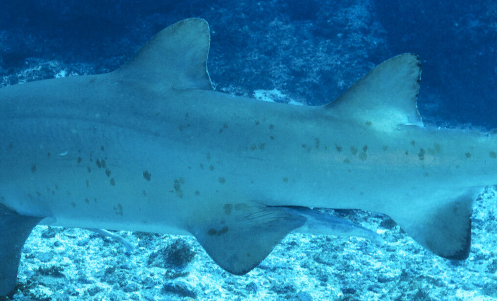 13816ede-c958-462d-84f0-c03e5eab7d07