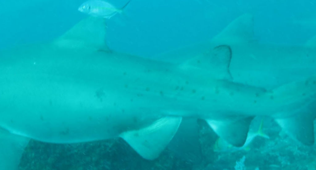 7a30bbb0-125c-495b-9247-2ad69c9dfd10