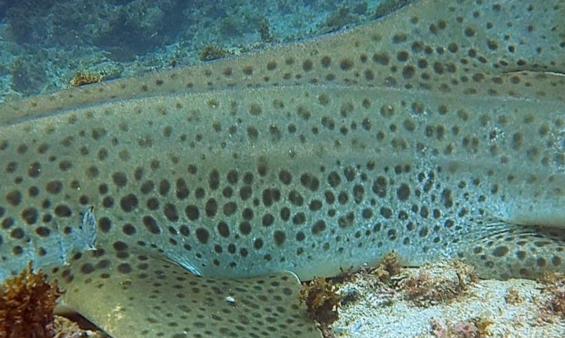 d0523cb8-6d12-4bd6-a78f-febfcf19ce3b