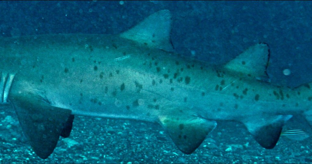 74bd6350-1c54-4d54-a538-365477214397