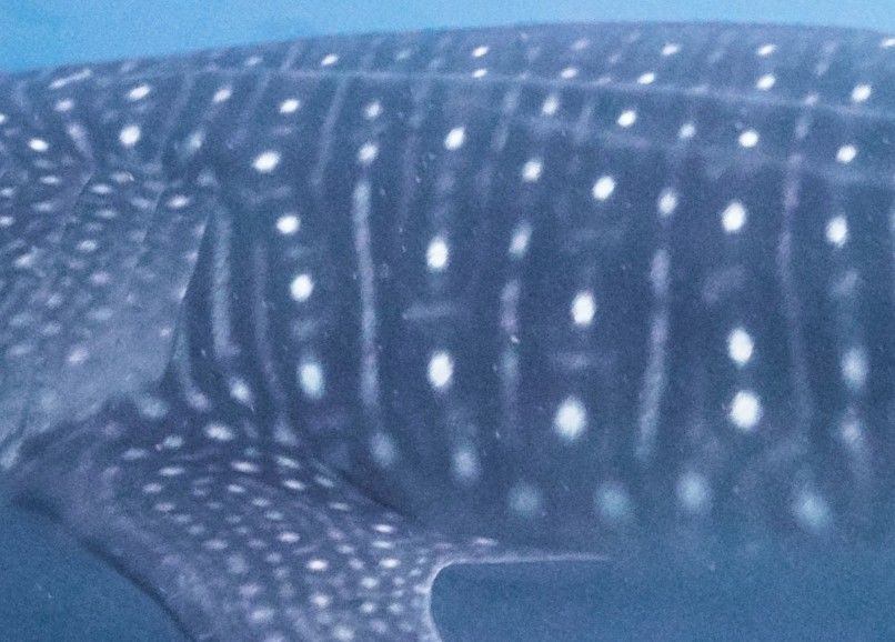 ac50960b-e7c5-4be4-8a39-d00493fe4b03