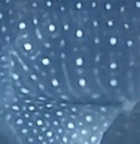 f6d58779-cc49-4175-b46a-4cb2cded97c4