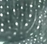 f6d58779-cc49-4175-b46a-4cb2cded97c4