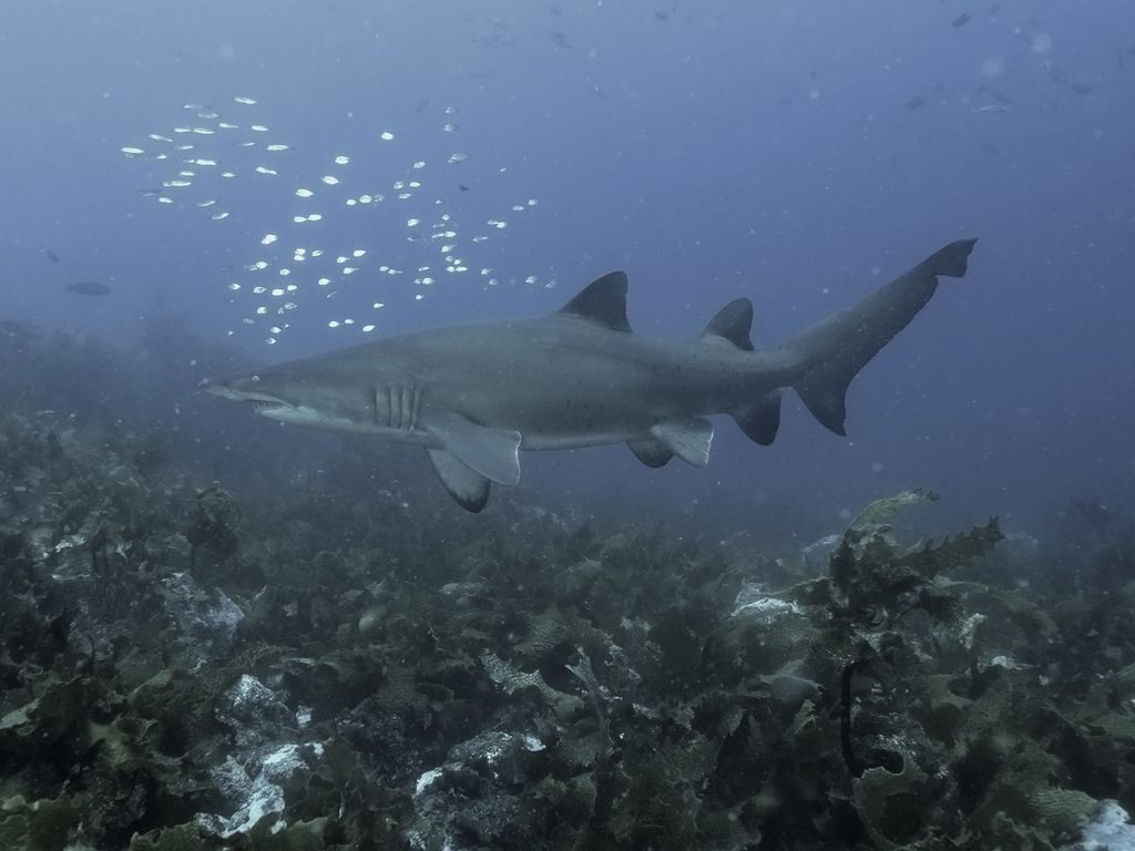 9bcddd17-2d17-45b4-8413-0d3c8adca1c0