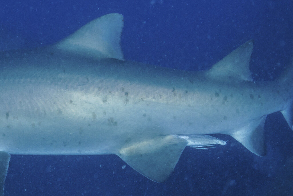 fbc36861-3a80-4f1c-9576-3434383608da