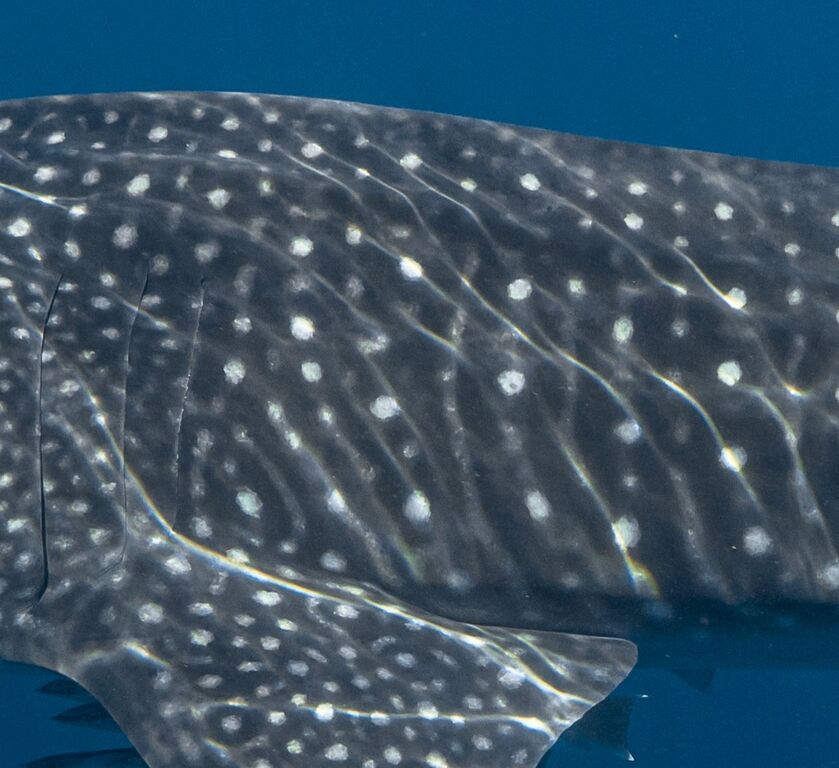 c05270f6-0543-4c8a-8d88-f3a19501bc50