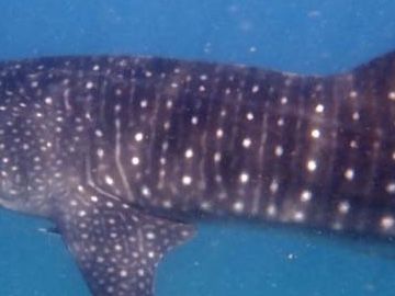 afc84618-ff22-4f92-9c01-aa88f08ed4eb