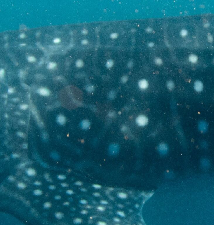 fa45b4d6-0fe5-454f-9efe-0f4bbce51088