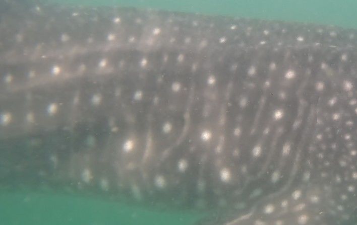 af94f6f8-bf77-4a37-8247-b00bafac4073