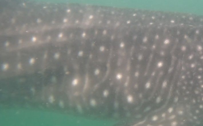 af94f6f8-bf77-4a37-8247-b00bafac4073