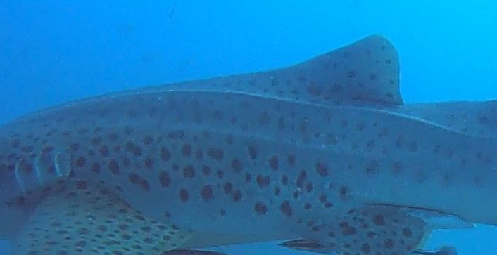 b81a47cb-bd61-4007-a15b-222ea21cd25a