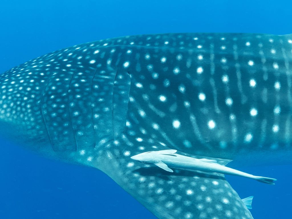 98b26685-9154-49ca-9aaf-d938d9d7fcec