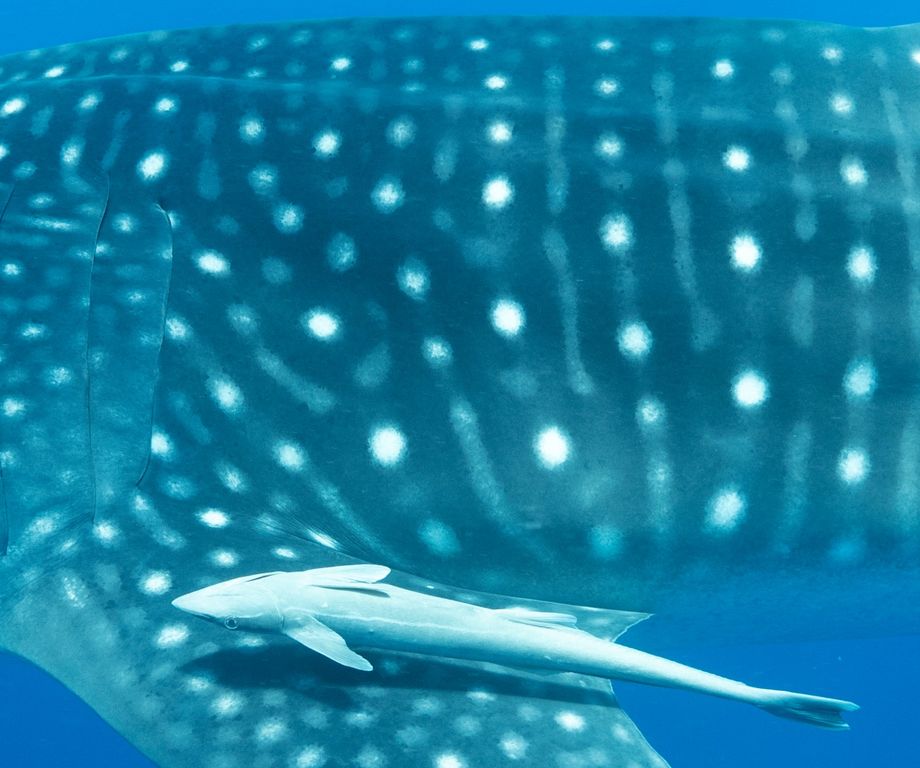 98b26685-9154-49ca-9aaf-d938d9d7fcec