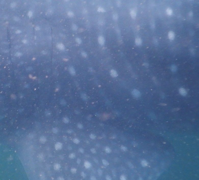 601afad2-002a-4c91-ade6-886fc3b3ccc7