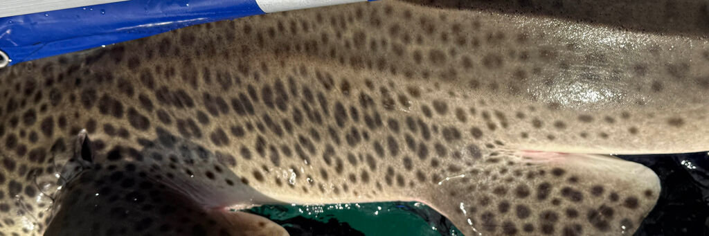 ce179091-cf2e-443a-8832-d3b55b16e983