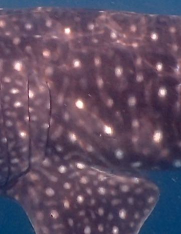 e421c4ef-8d78-403f-8a86-801e18c9c104